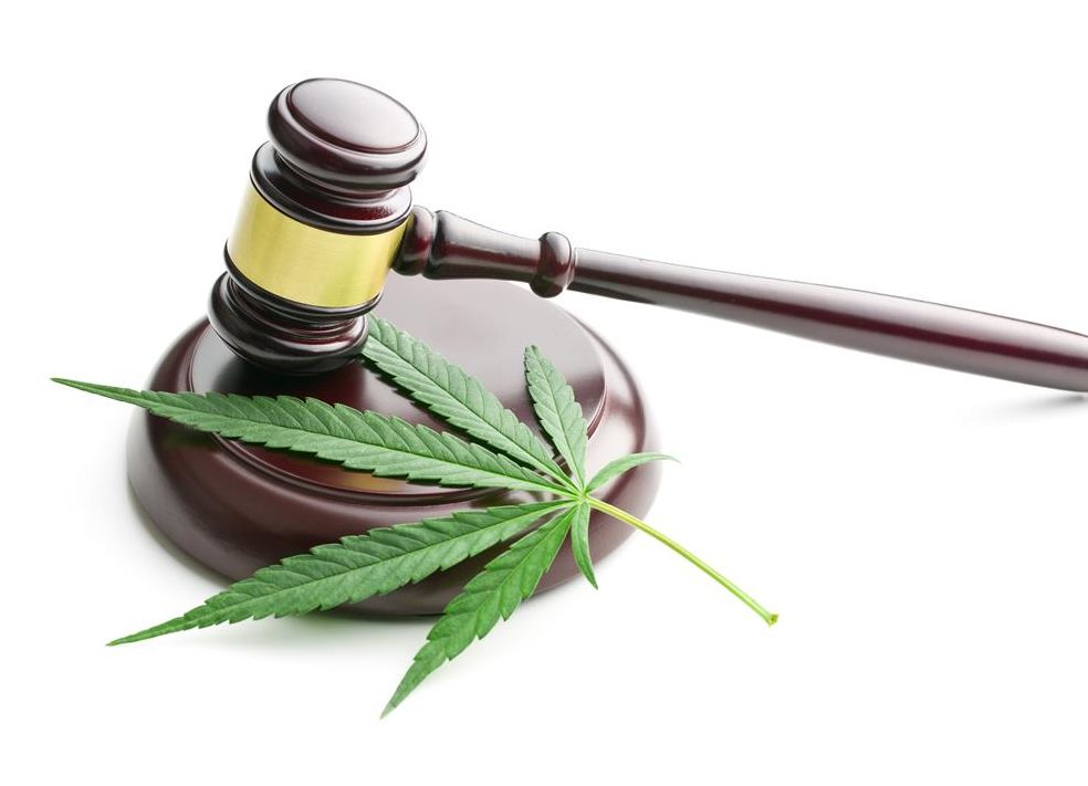 II. The Importance of Compliance with Local Cannabis Laws